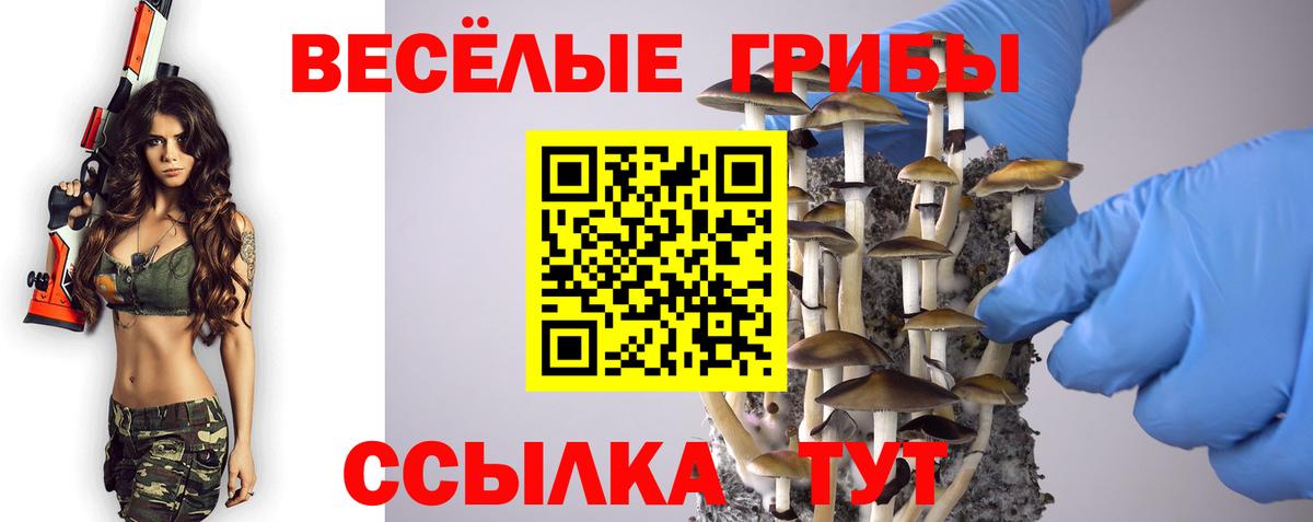 Галлюциногенные грибы мицелий  Псилоцибиновые грибы Psilocybe  Новомосковск  купить наркотики цена  Вход с VPN 